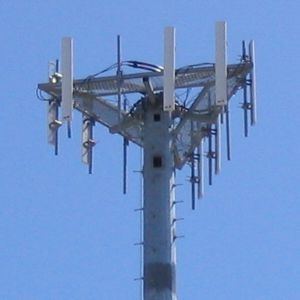 section antenna